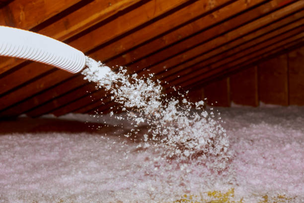 Best Insulation Installation Services in Eggertsville, NY