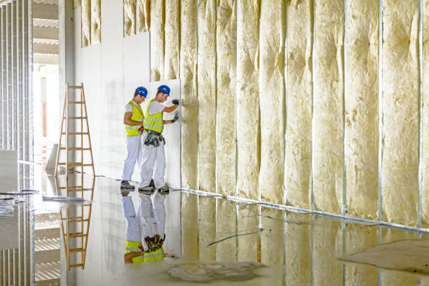 Best Commercial Insulation in Eggertsville, NY